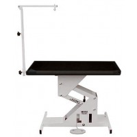 Edemco 42 Inch F976000 ElecPro Electric Table w/Swing Arm